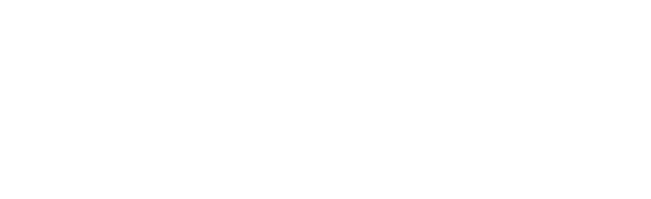Platinum-White-Logo